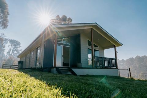 The home exterior in full sun, looking over the paddocks