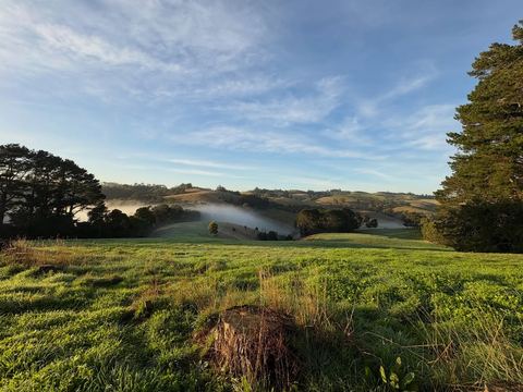 Morning fog rolling through the valley below the paddocks